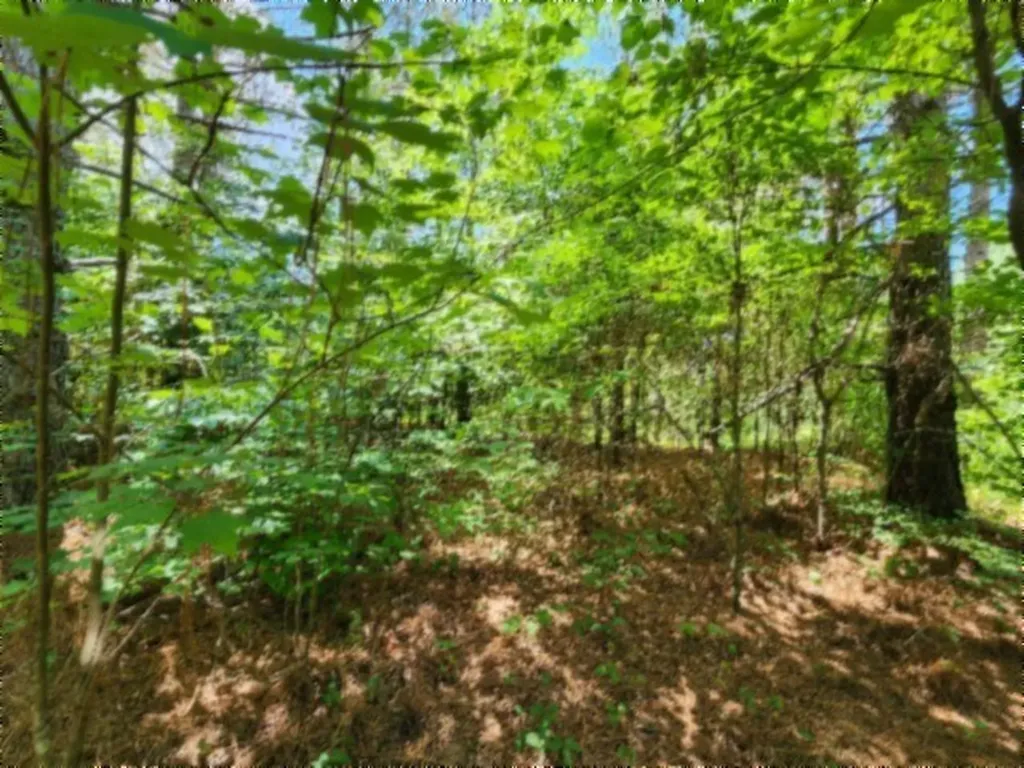 674 Rhodas Way Sunbright TN 37872
