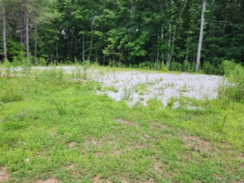 674 Rhodas Way Sunbright TN 37872