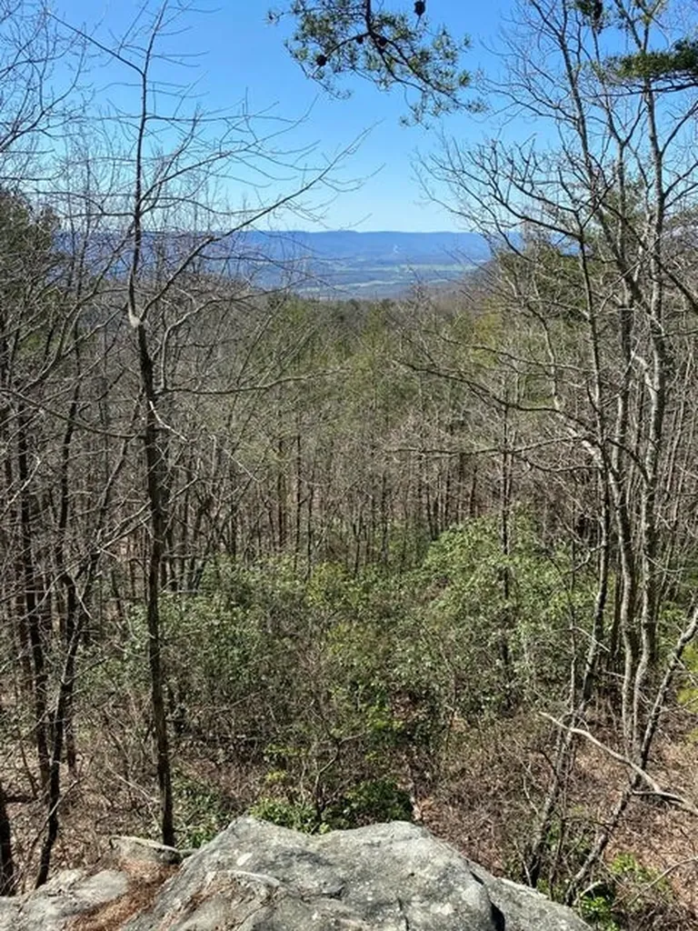 298 Fieldstone Lane Pikeville TN 37367