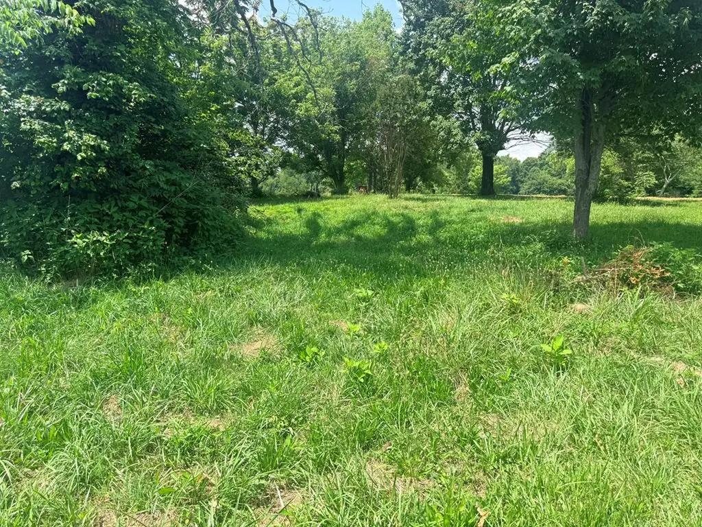 3797 Coal Bank Road Sparta TN 38583
