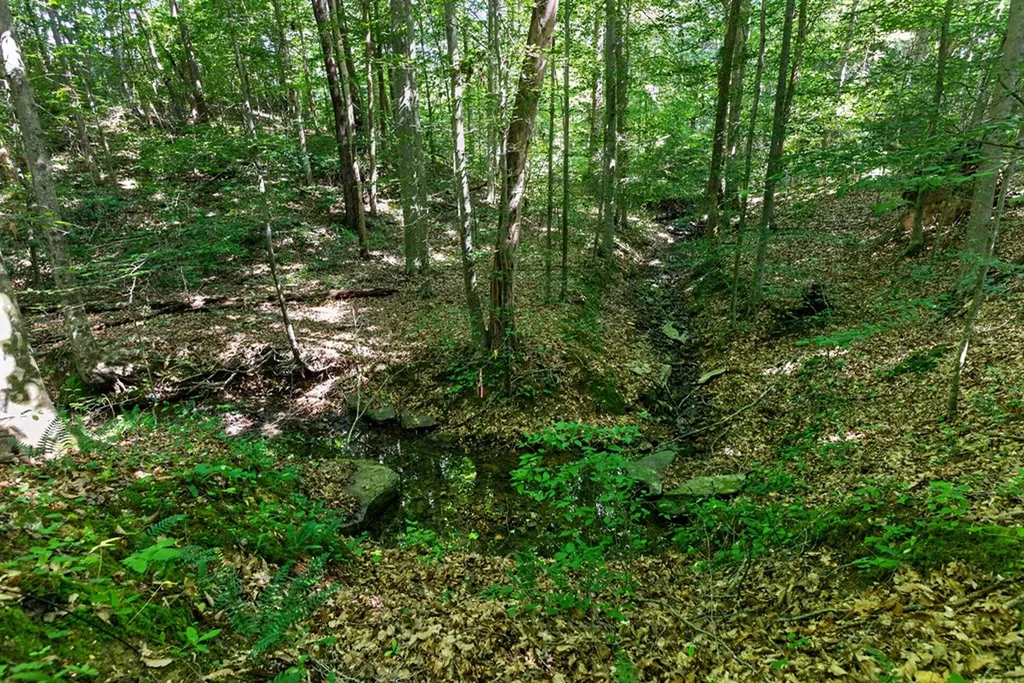 8 Ac Eastport Dock Road Monroe TN 38573