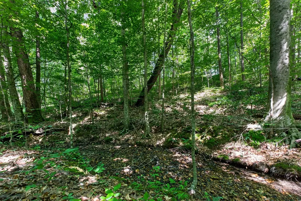 8 Ac Eastport Dock Road Monroe TN 38573