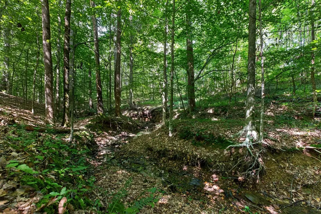 8 Ac Eastport Dock Road Monroe TN 38573