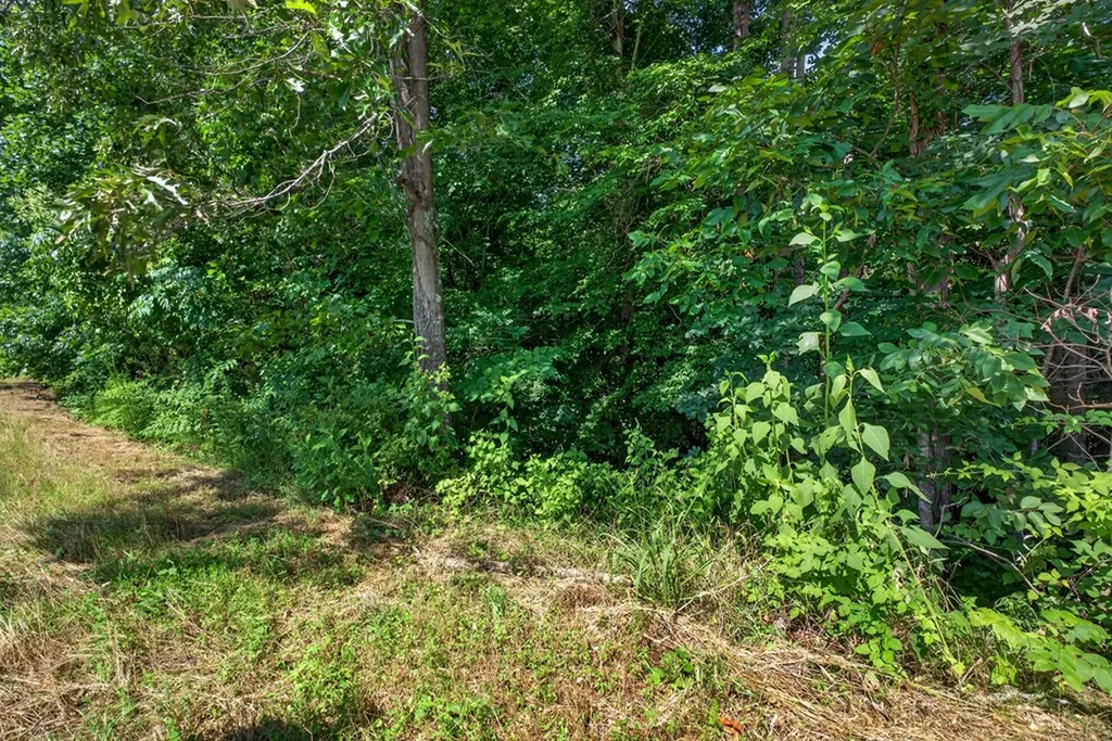 8 Ac Eastport Dock Road Monroe TN 38573