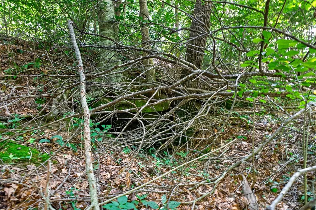 8 Ac Eastport Dock Road Monroe TN 38573
