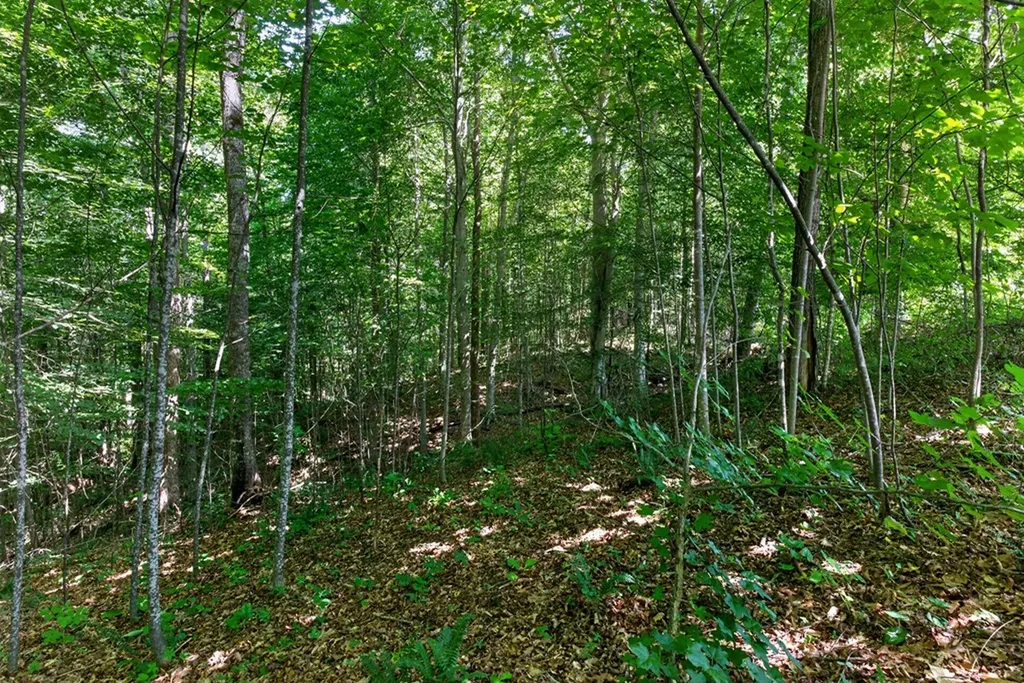8 Ac Eastport Dock Road Monroe TN 38573