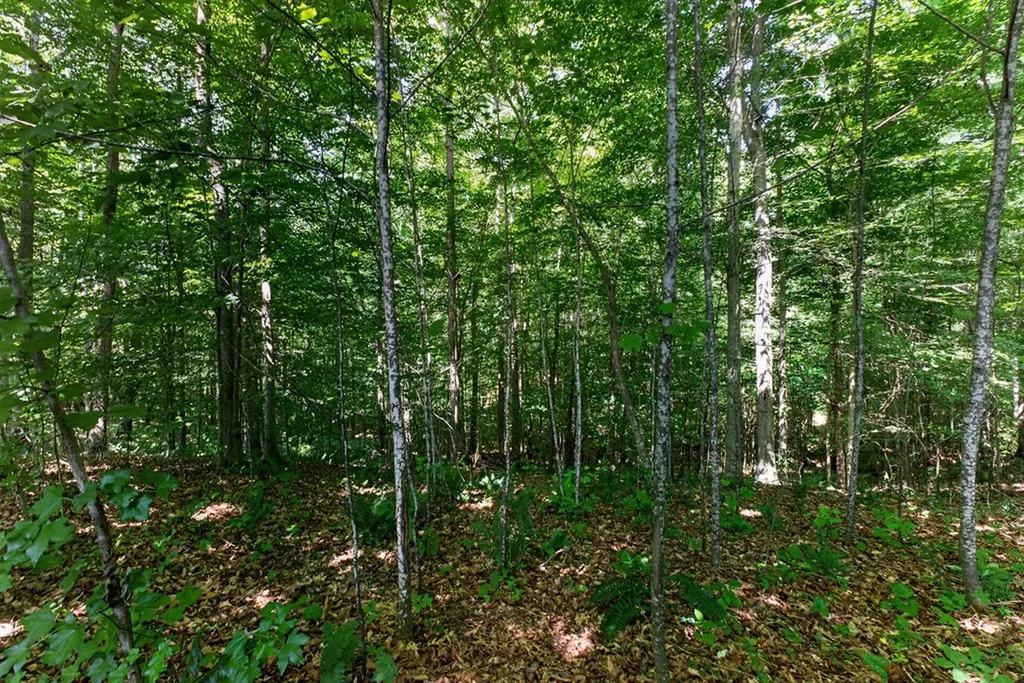 8 Ac Eastport Dock Road Monroe TN 38573