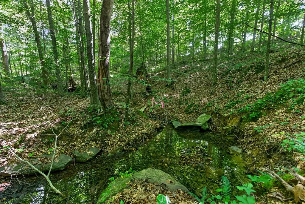 8 Ac Eastport Dock Road Monroe TN 38573