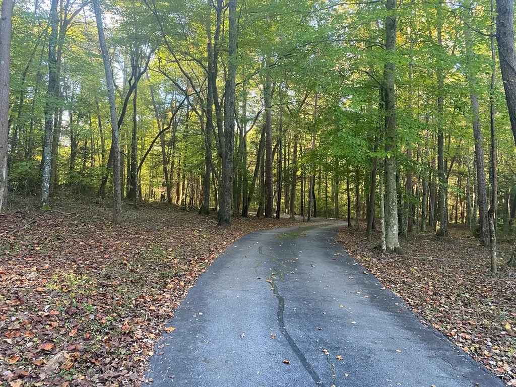 303 303 Cumberland Cove Road Monterey TN 38574