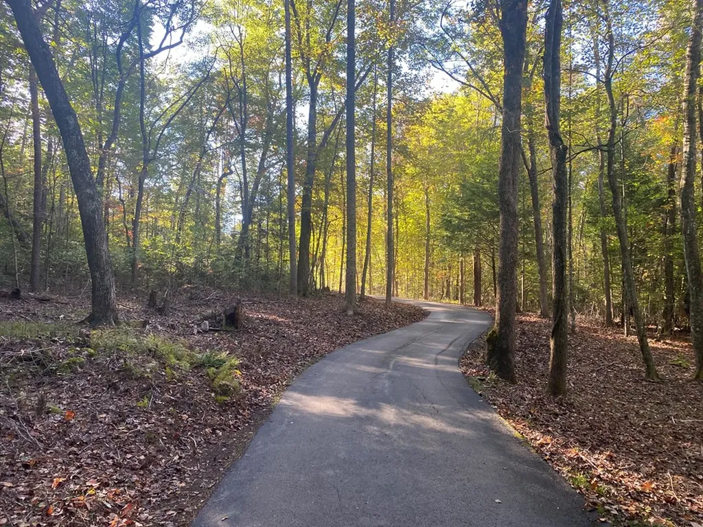 303 303 Cumberland Cove Road Monterey TN 38574