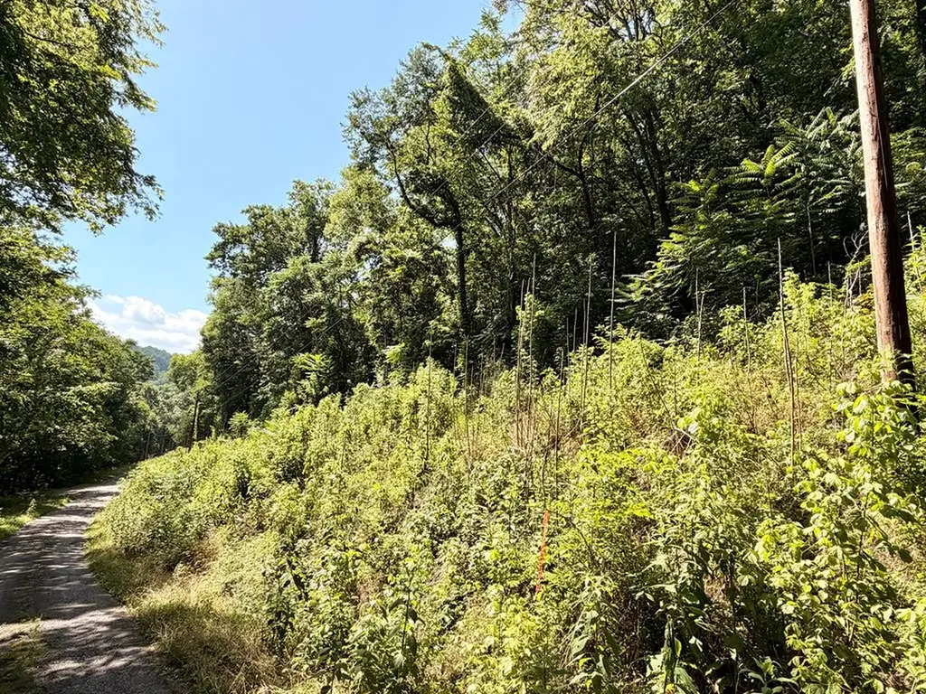 0 Silver Point Road Silver Point TN 38582