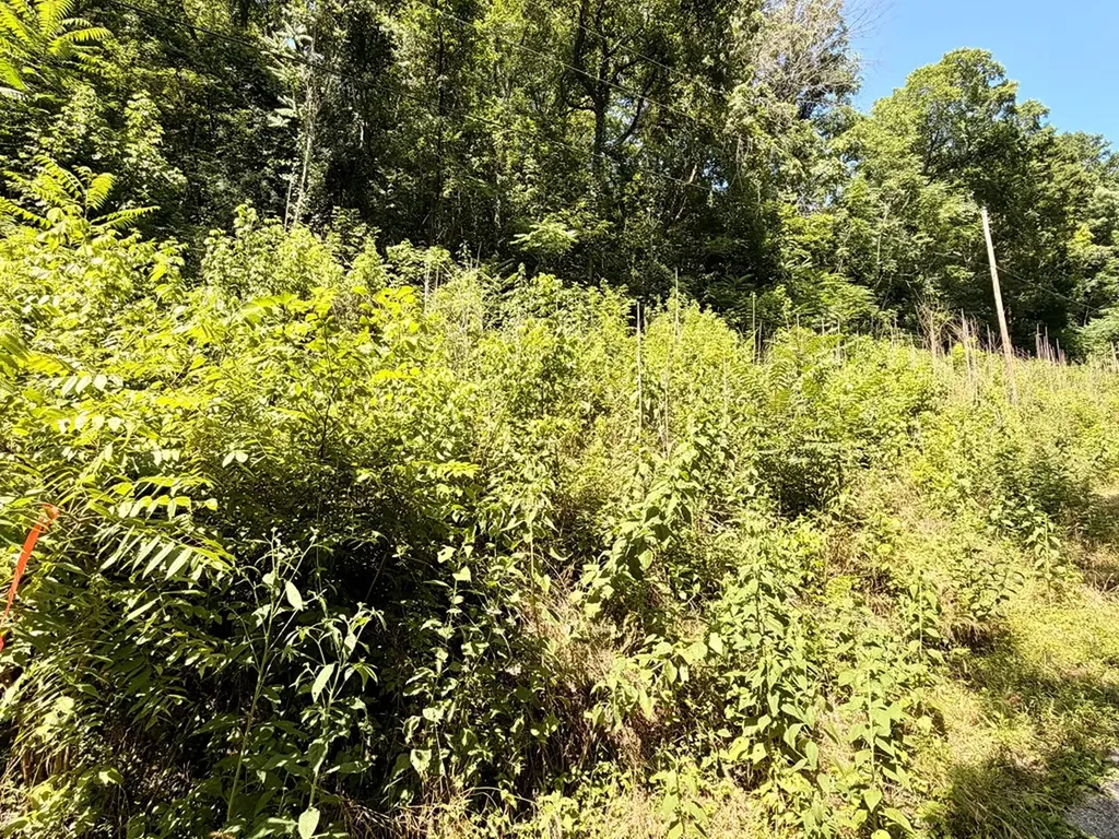 0 Silver Point Road Silver Point TN 38582