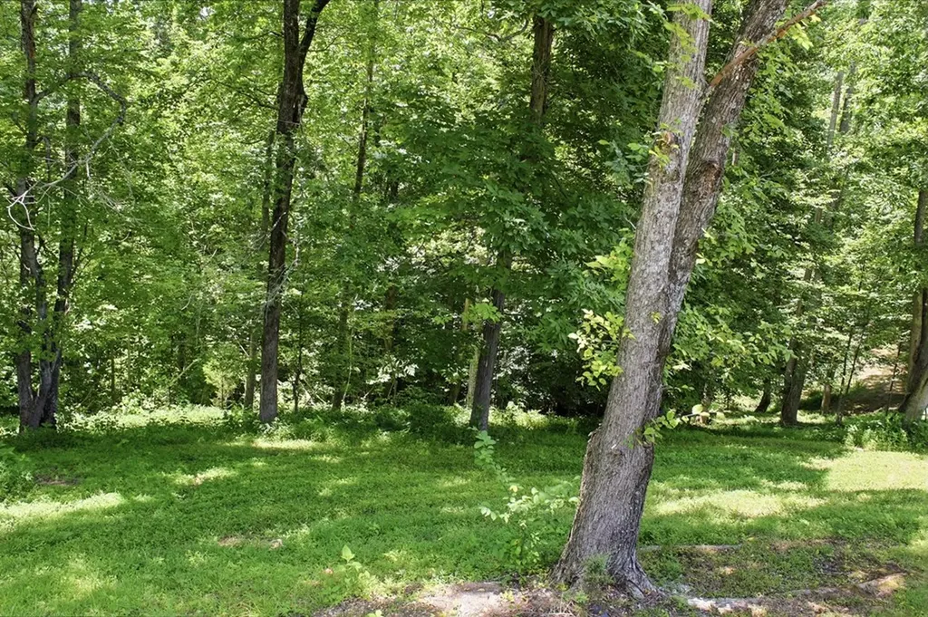 3500 Shepardsville Highway Bloomington Springs TN 38545