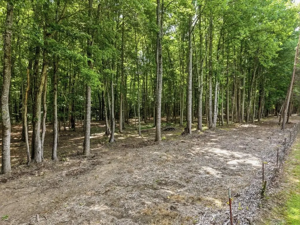 1169 Terry Lane Jamestown TN 38556