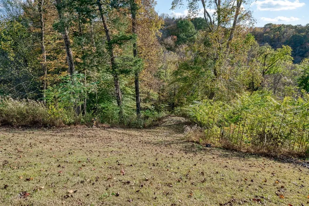 511 Mallard Pointe Drive Byrdstown TN 38549