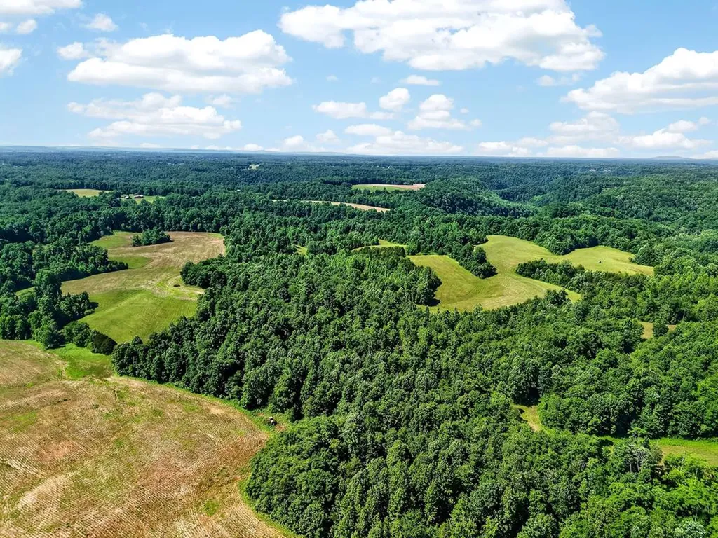193 Ac Massa Road Baxter TN 38544