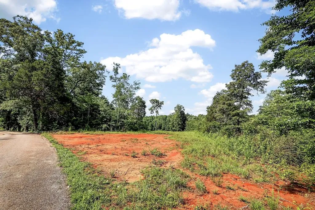 193 Ac Massa Road Baxter TN 38544