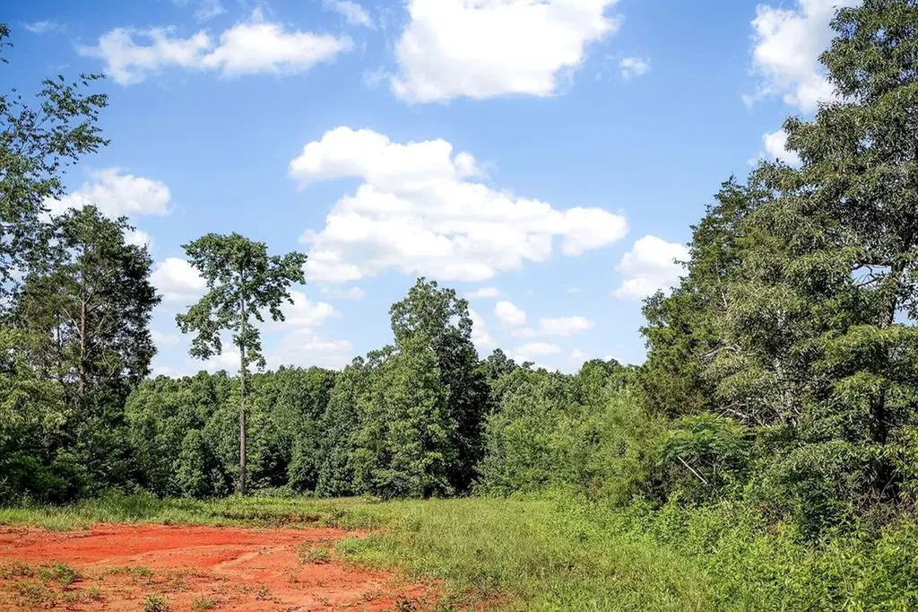 193 Ac Massa Road Baxter TN 38544