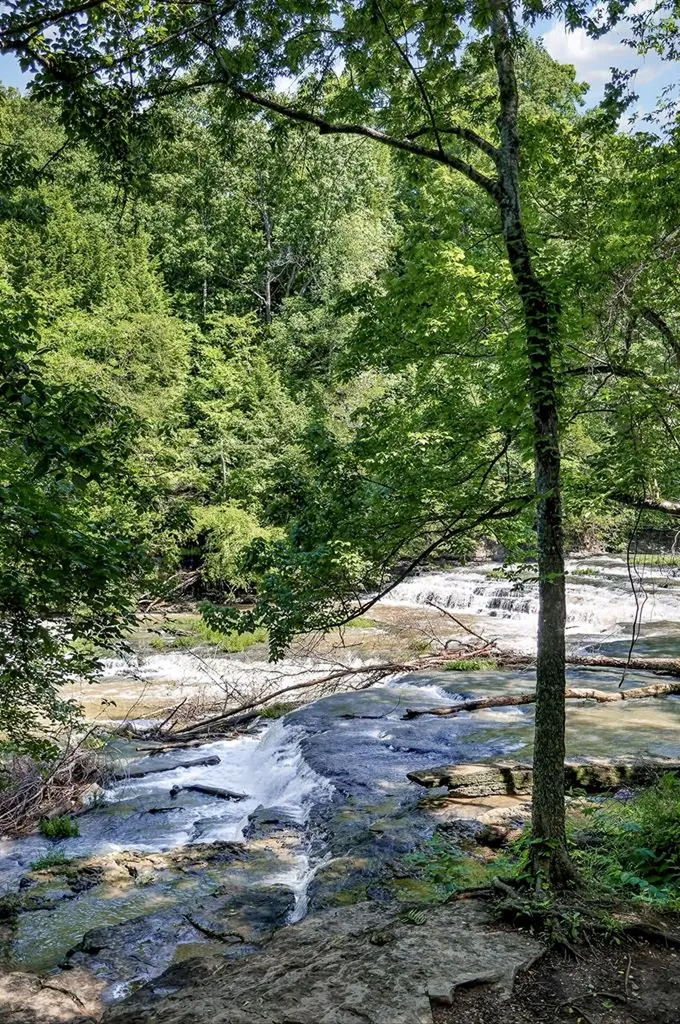 193 Ac Massa Road Baxter TN 38544