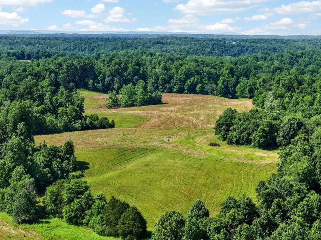 193 Ac Massa Road Baxter TN 38544