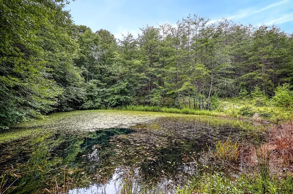 1400 Orlie Young Road Crab Orchard TN 37723