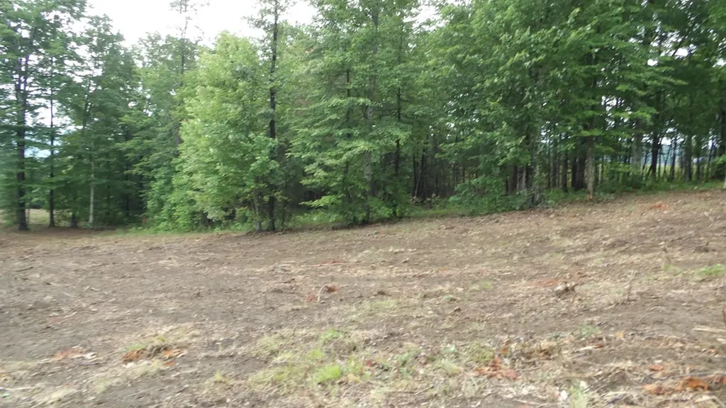 442 Valley View Circle Wilder TN 38589