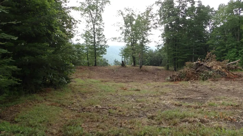 442 Valley View Circle Wilder TN 38589
