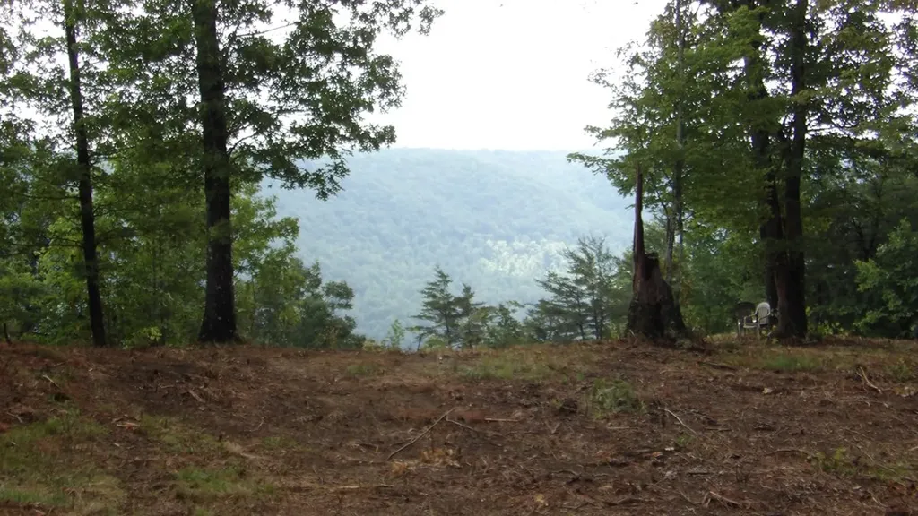 442 Valley View Circle Wilder TN 38589