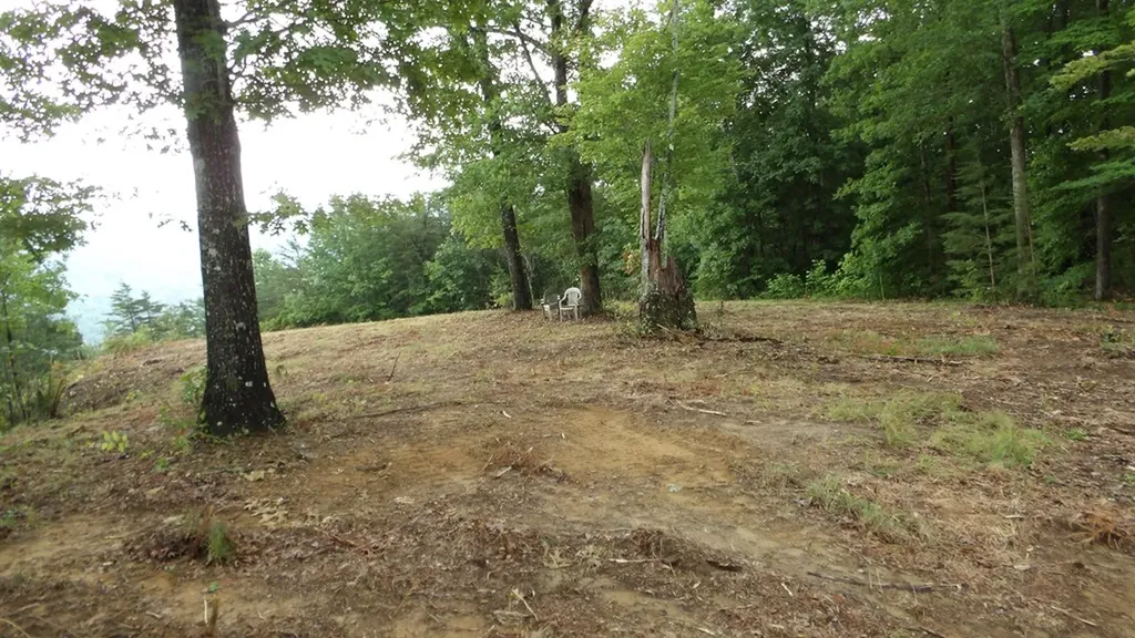 442 Valley View Circle Wilder TN 38589