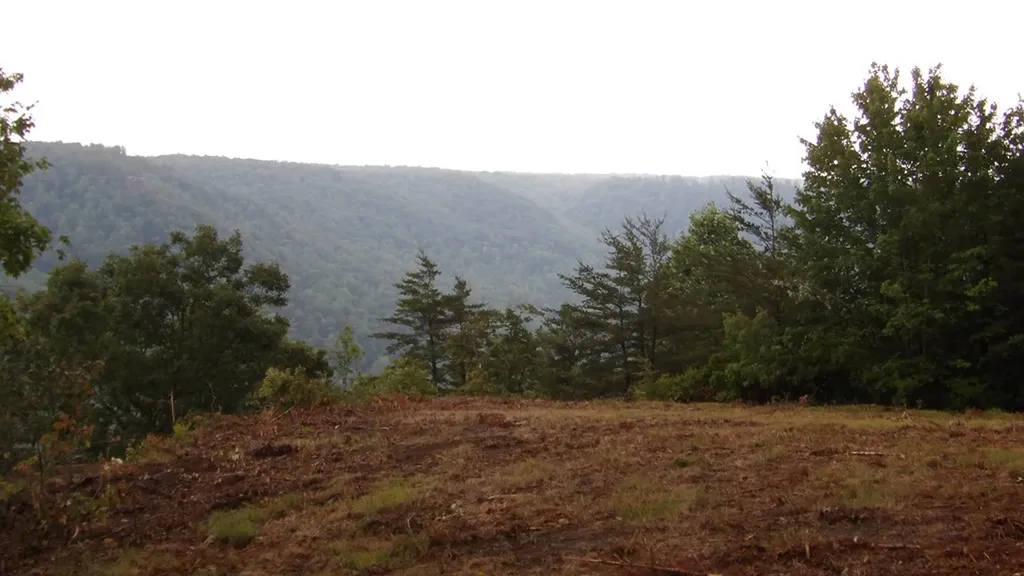 442 Valley View Circle Wilder TN 38589