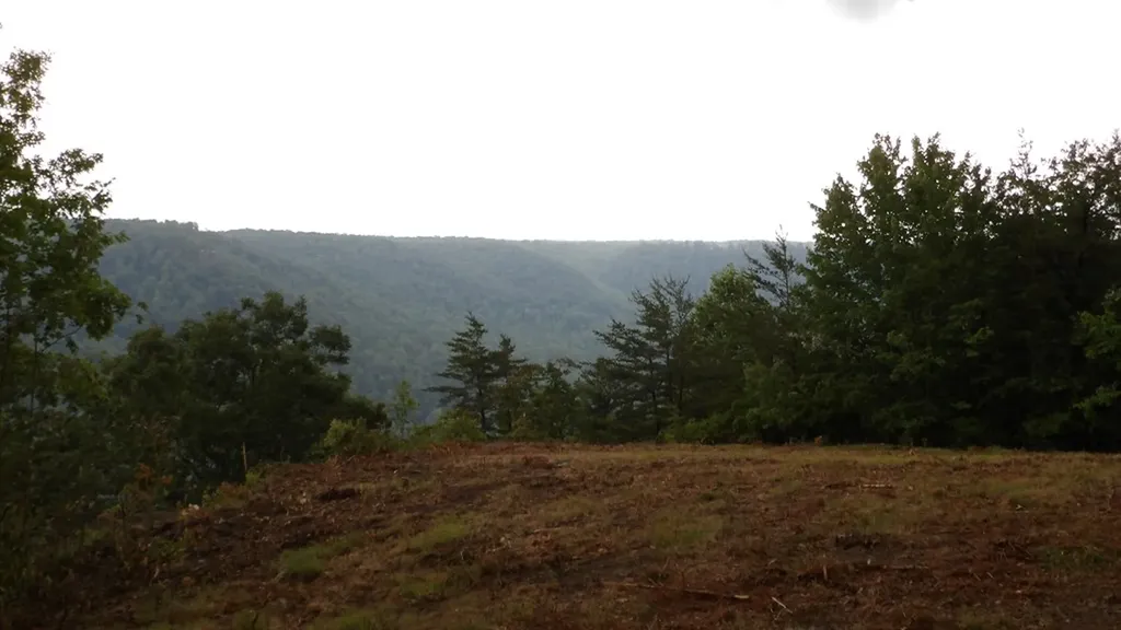 442 Valley View Circle Wilder TN 38589