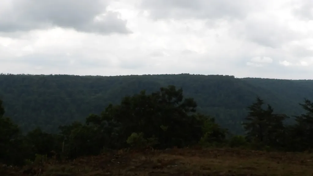 442 Valley View Circle Wilder TN 38589