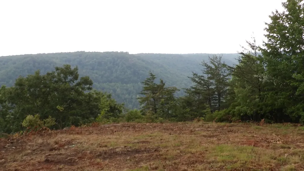 442 Valley View Circle Wilder TN 38589