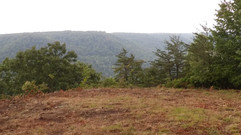 442 Valley View Circle Wilder TN 38589