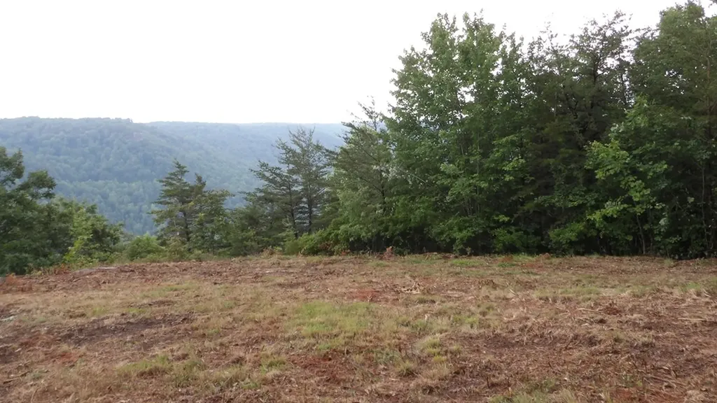 442 Valley View Circle Wilder TN 38589