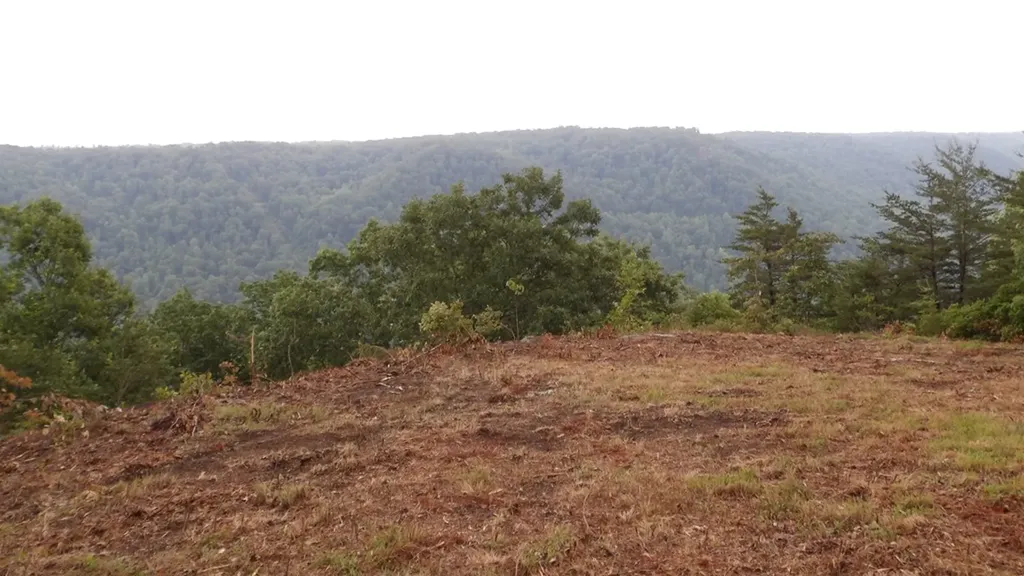 442 Valley View Circle Wilder TN 38589
