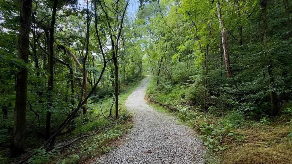 18 Ac E Main Street Dowelltown TN 37059