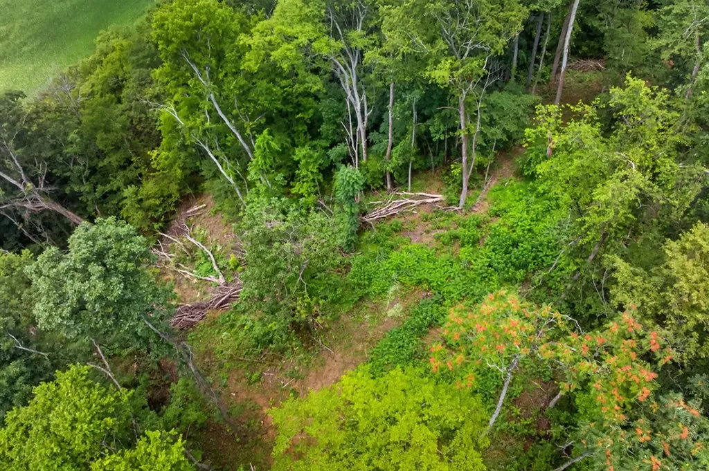 18 Ac E Main Street Dowelltown TN 37059