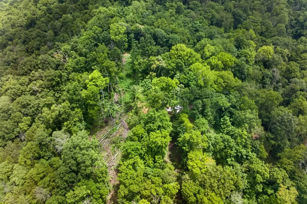 18 Ac E Main Street Dowelltown TN 37059