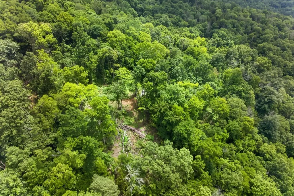 18 Ac E Main Street Dowelltown TN 37059