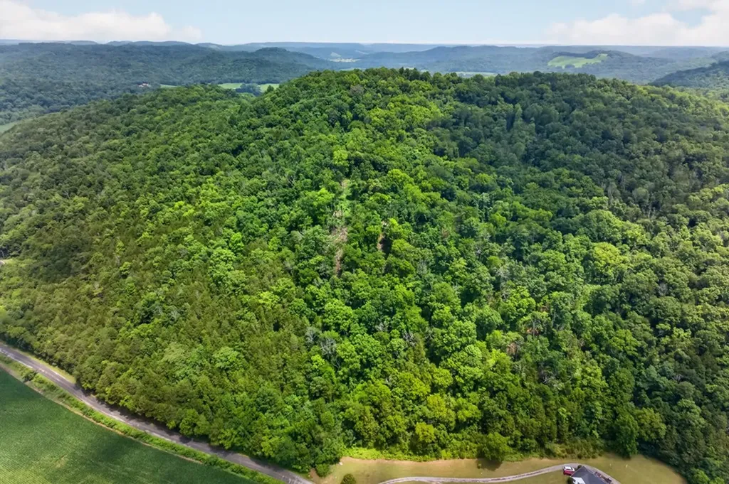 18 Ac E Main Street Dowelltown TN 37059