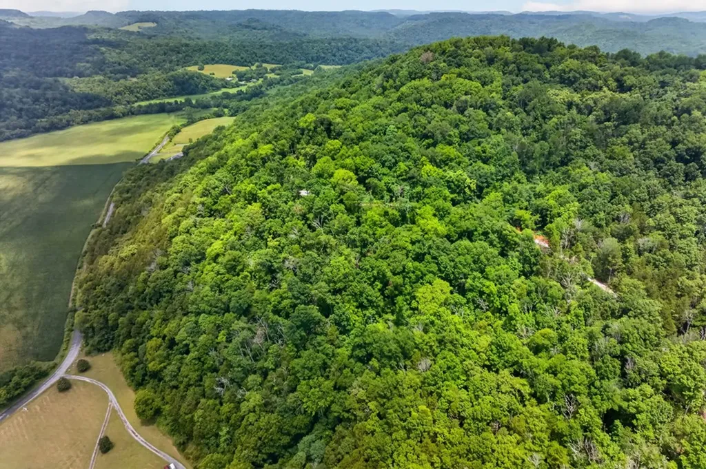 18 Ac E Main Street Dowelltown TN 37059