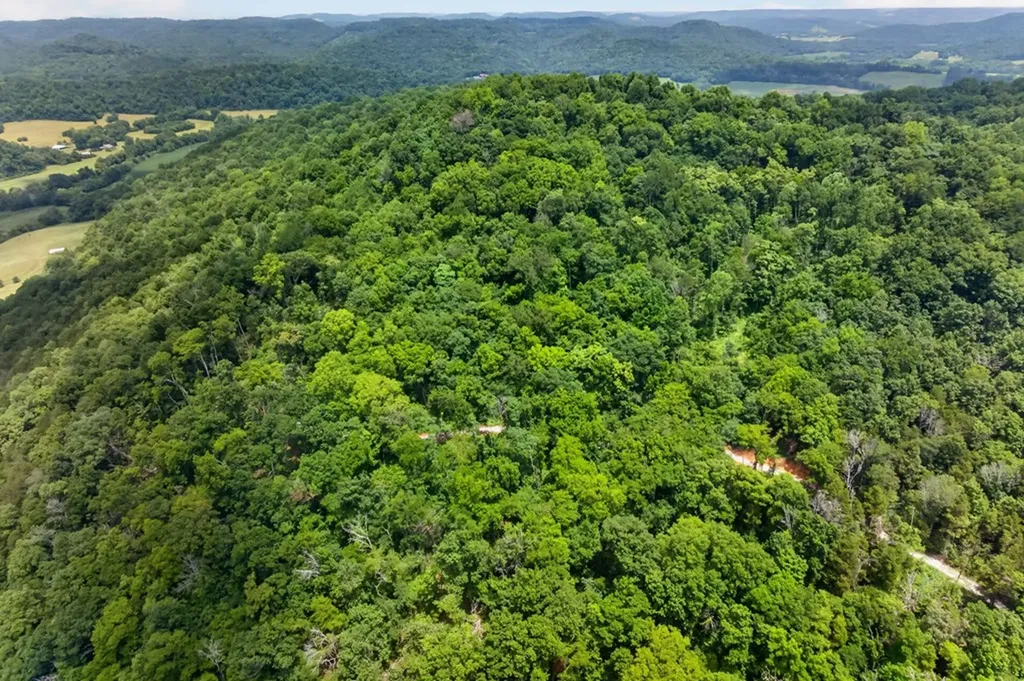 18 Ac E Main Street Dowelltown TN 37059