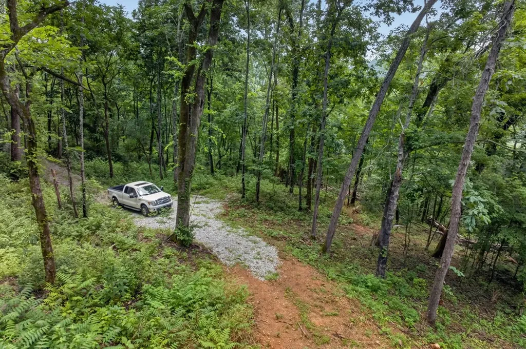 18 Ac E Main Street Dowelltown TN 37059