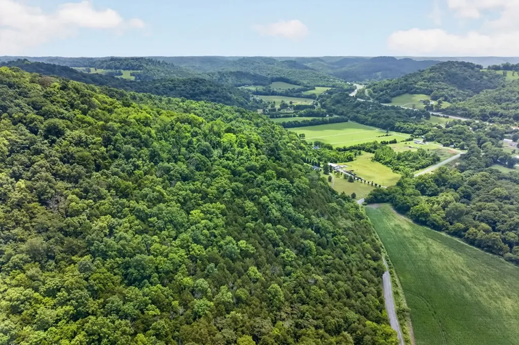 18 Ac E Main Street Dowelltown TN 37059