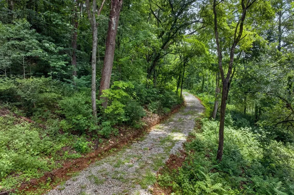 18 Ac E Main Street Dowelltown TN 37059