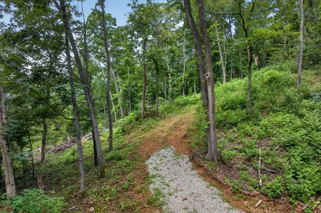 18 Ac E Main Street Dowelltown TN 37059