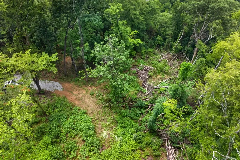 18 Ac E Main Street Dowelltown TN 37059