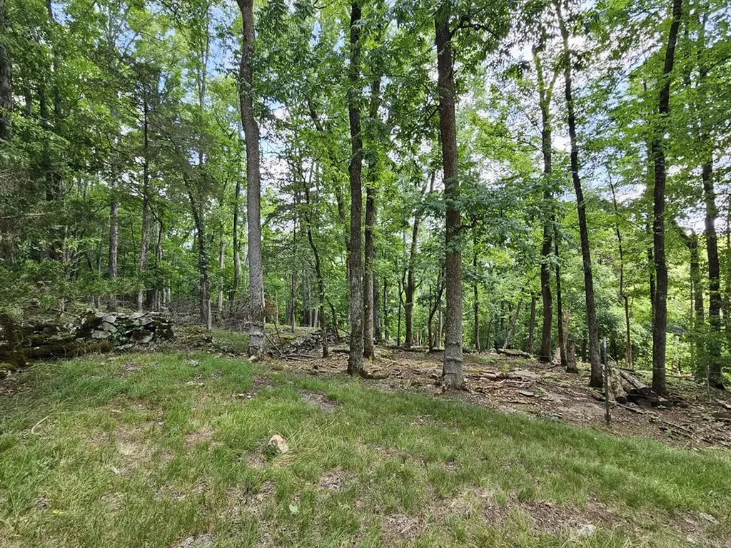 294 Lakeside Drive Carthage TN 37030-2324