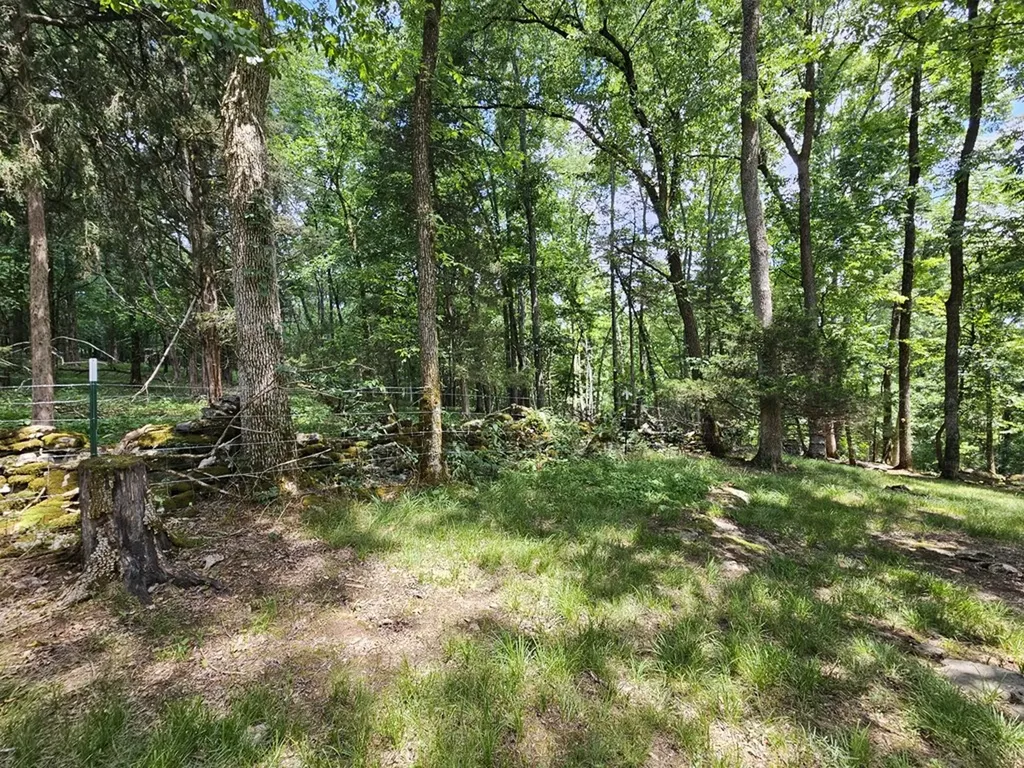 294 Lakeside Drive Carthage TN 37030-2324